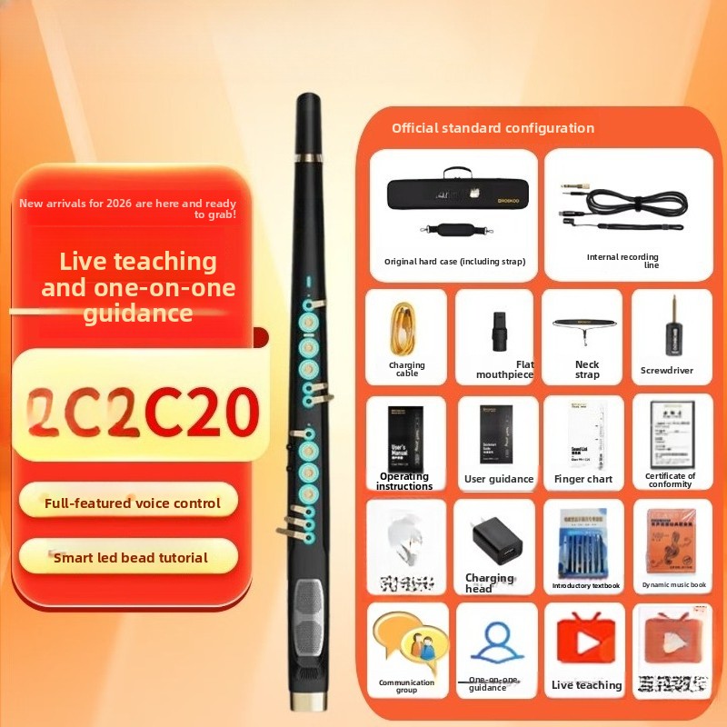 C20: Высококачественный интелл – обзор и цена Musical Instrument That You Blow Into