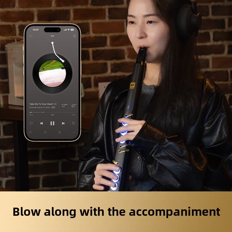 C20: Высококачественный интелл – обзор и цена Musical Instrument That You Blow Into