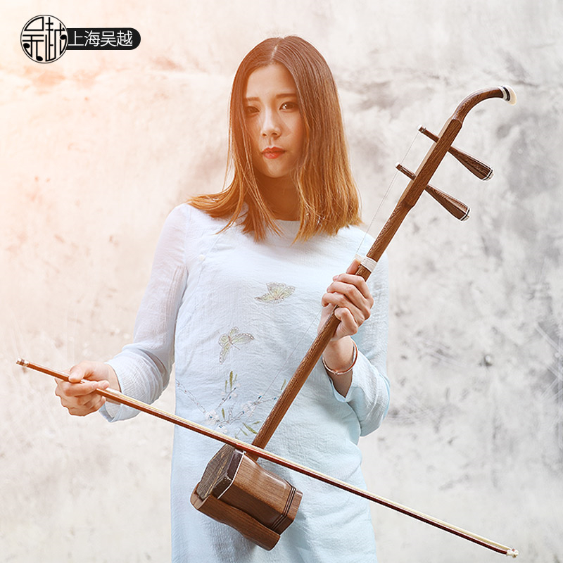 Китайский народный струнный ин – обзор и цена Musical Instrument Book