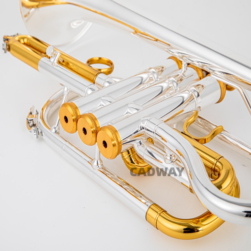 Тромбон BACH 2026 года, высоко – обзор и цена Musical Instrument Cornet