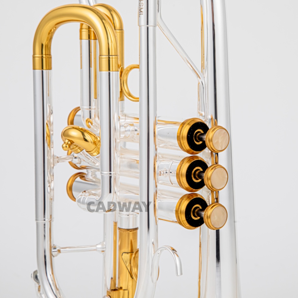 Тромбон BACH 2026 года, высоко – обзор и цена Musical Instrument Cornet