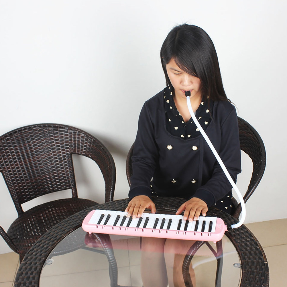 Мелодика (пианика) на 37 клави – обзор и цена Musical Instrument Melodica