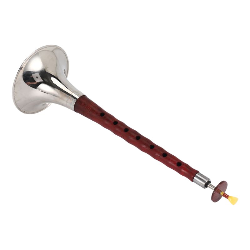 A12E-Китайский народный духово – обзор и цена Musical Instrument Zurna