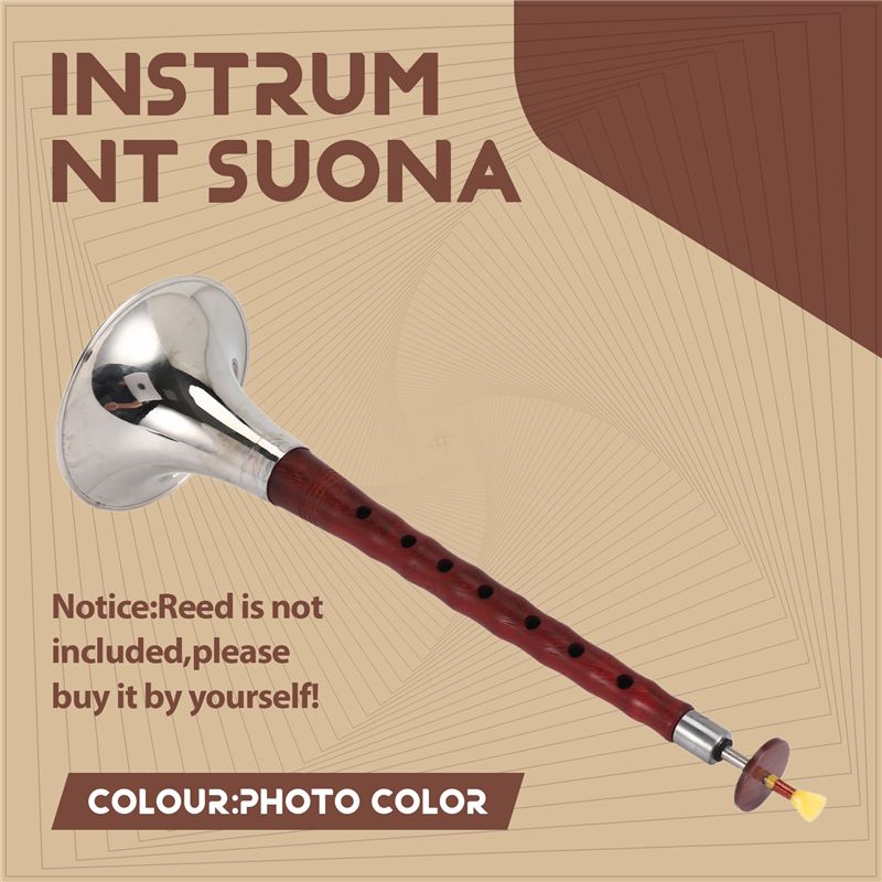 A12E-Китайский народный духово – обзор и цена Musical Instrument Zurna